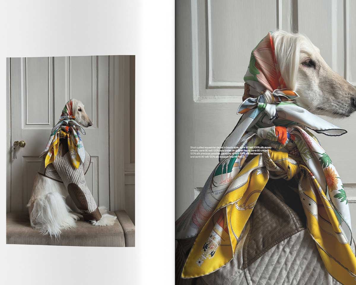 CAP 74024 Magazine - #22, Summer/Autumn 2026