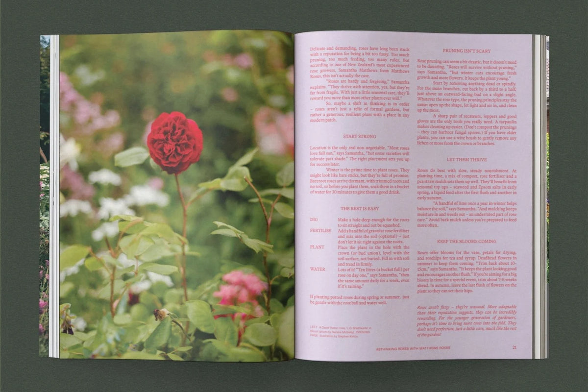 Sage Journal Vol. 1: Life Among Plants