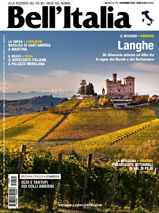 Italian vineyard with palazzo on magazine cover